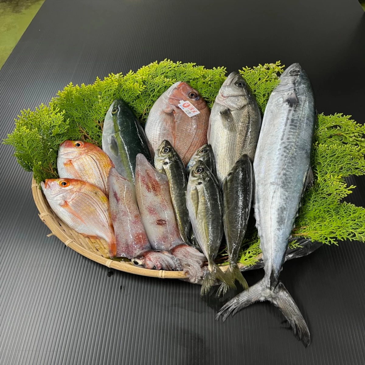 鮮魚詰め合わせセット